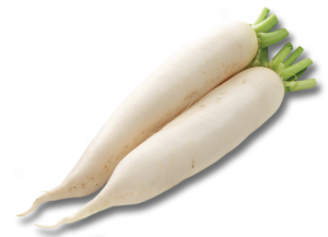 A pair of daikon radish