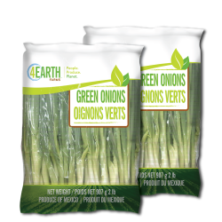 NewItems Header_03-16-26_GreenOnions